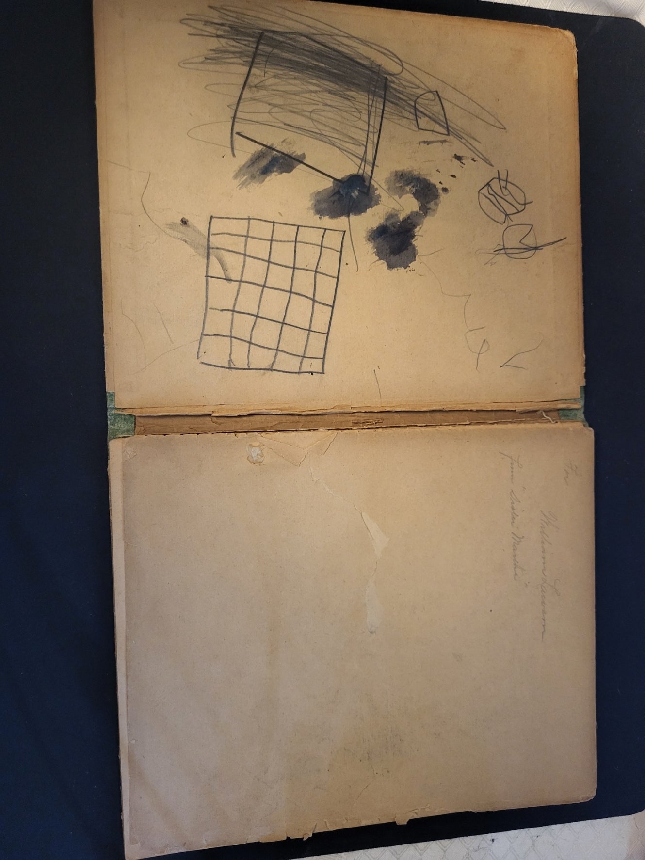 The Ugly Duckling Centenary Edition (1905)