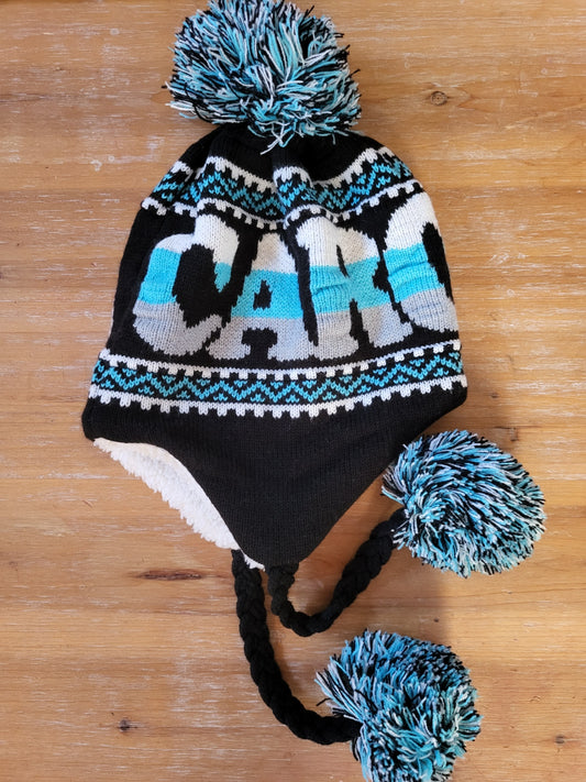 Cozy Carolina Winter Hat